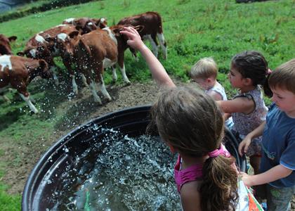 Natuur - Activiteiten - Hotel