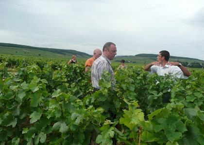 Cave à vin - Vins & Spiritueux