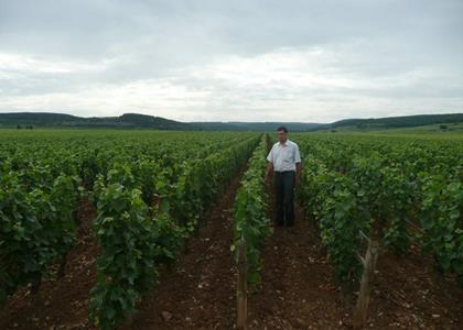 Cave à vin - Vins & Spiritueux